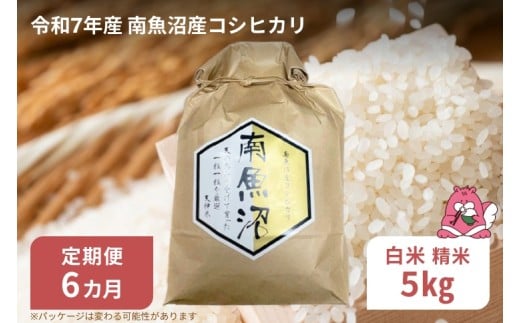 yV򒬁zߘa7NY 6 y5s/6zz㓒Y 싛Y RVqJ Ƃ鐅̌b݁yY RVqJz