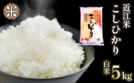 yꌧzߘa7NY  5s Ђ 5kg × 1  ߍ] RVqJ Y    ͂   ߂  Sn  ꌧY  ӂ邳 LO lC