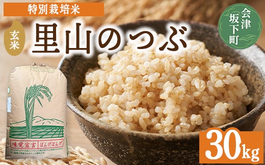 3-J 里山のつぶ玄米30kg 令和7年産 特別栽培米 ｜ 福島県会津坂下町 