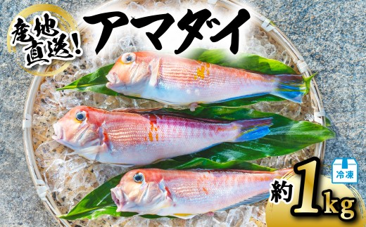 アマダイ 約1kg 冷凍 下処理済み 松笠揚げ 甘鯛 あまだい 水揚げ時重量
