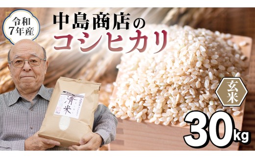 令和7年産 茨城県産 玄米 コシヒカリ 30kg（30kg×1袋） 清米