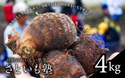 さといも 楽天市場】送料無料【冷凍】福井県奥越特産里芋洗いさといも秀品