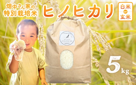 みい　⭐︎発送は平日のみです⭐︎※特報高級ヒノヒカリ 特別栽培米 玄米20kg miffy様、専用 特別栽培コシヒカリ 玄米20キロ
