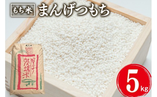 まんげつもち 精米 5kg 岡田ファーム もち米 マンゲツモチ お米 もち