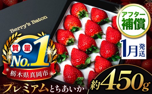 yȖ،^szy1zƂp 450g bȖ، ^s ʕ  C`S lC ʌ MtgBOX { Ȗ؂̎s _ѐYb  Y JGAPF