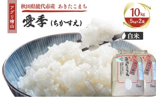 yHc\szߘa7NY V AOwR G()  10kg ( 5kg × 2 )( ʍ͔| ܂ )     R ͂  嗱 ߘa7N  Hc Hc \s