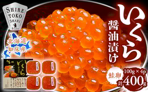 ykCΗzkCmYݖЂ 400g(100g×4)_ ݖЂ kC   Ⓚ  Mtgy1316440z