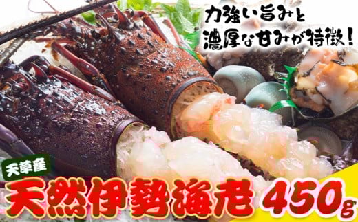 yF{kzVY VRɐCV igJbg×Qj CN CY C̍K V[t[h CV Gr  ɐCV s30ȓɏoח\(yj)t F{ k V V