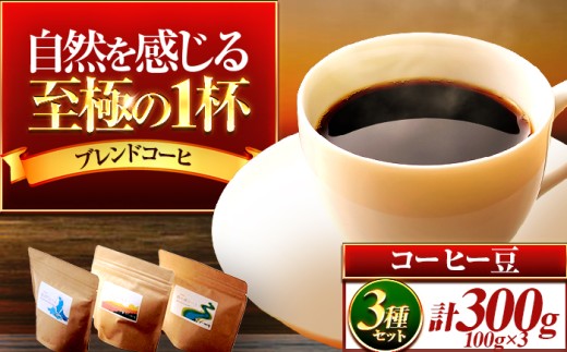 y䌧lsz300g lZbgyz ls / topiv  [BFAI015]