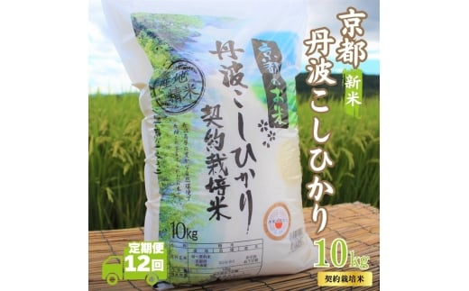 ys{Osz[5334-0708]y12Jցzߘa7NY V sOgY Ђ 10kg v120kg