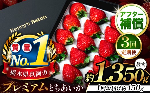 yȖ،^szy3zƂp 450g bȖ، ^s ʕ  C`S lC ʌ MtgBOX { Ȗ؂̎s _ѐYb  Y JGAPF