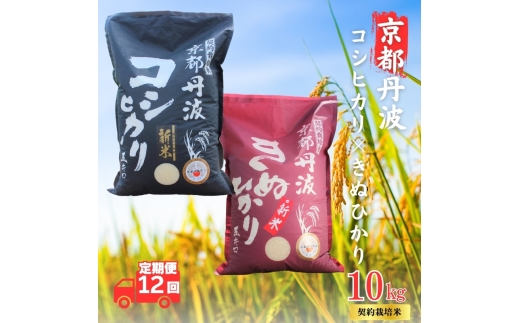 ys{Osz[5334-0707]y12Jցzߘa7NY V sOgY ЂEʂЂ Hה׃Zbg 10kg v120kg