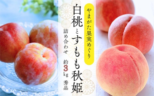 yR`R`sz܂ʎ߂ \ƏHP\ 3kg Giyߘa8NYs\zFS25-090