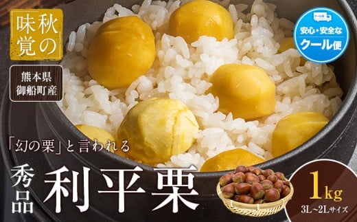 yF{DzI F{DY 1kg(3L-2LTCY)s9{-10{oׁt Ԍ  \ XC[c Ƃ ØI a I F{D