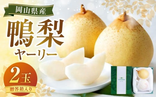 yR璬zi[[j2   iV Ȃ y2025N11{`12{\z