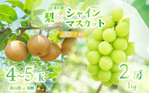 y錧Ȏszy 2026N s\ z VC}XJbg   Hה׃Zbg VC}XJbg 2[ 1kgȏ{ 4~5ʁiV܂͐Vj y 2026N9{`10{\ z