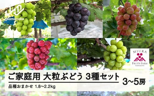 yR`RӒzy_ƎҎxzs\₲ƒp 2026NR`Y i킨܂ 嗱Ԃǂ3Zbg 1.8`2.2kgi3?5[j 2026N9{珇 Ԃǂ uhE  }XJbg 嗱