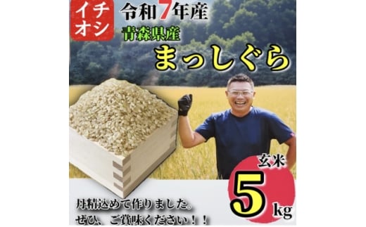 yX\acszߘa7NYXY ܂  5kgy1684627z