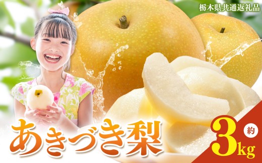 yȖ،^szȖ،Y  Â 3kg y2026Ns\z| H Ȃ iV n ʕ t[c v[g J    W[V[   Ȗ،Y Ȗ، ^