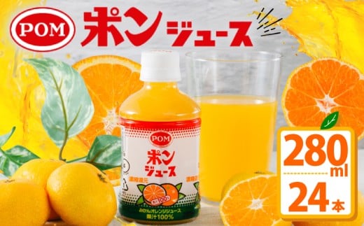 yQRsz|W[X 280ml × 24{ ݂ W[X ۂ񂶂[ ݂W[X ݂񂶂[ IWW[X 񂶂[ ʏ` ybg{g IW ݂ ʏ`