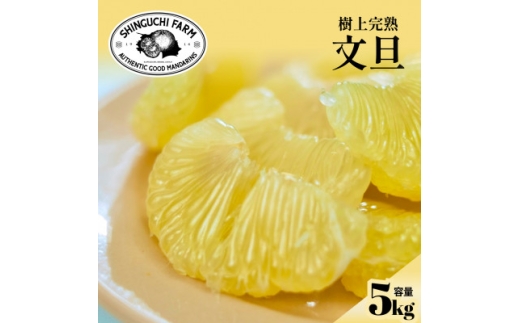 yQlsz㊮nU 5kgweVLbƐHxD70-31y1470650z