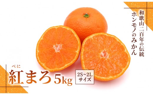 みかん『紅まろ（べにまろ）』2S～2Lサイズ 5kg ［糖度11度以上