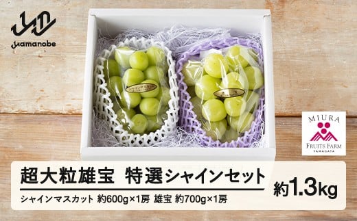 yR`RӒzss\t2026N R`RӒY 嗱 YƓIVC}XJbgZbg 2026N9{珇 F21A-240