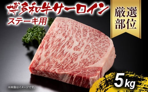 yؒzaT[CXe[L 5kg јa 񂹃O  yY B yY  O MEAT PLUS CP034