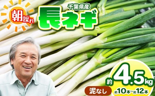 ytNÎszy DȂ z lM 4.5kg i10`12{j _iw엿jF͔|Ԓsgp | ؃AEt@[ ˂ lM lM ˂  Y VN lߍ킹 Yn ̂