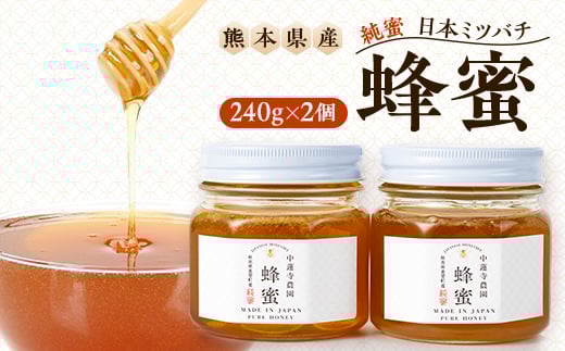 yF{zʌ聄F{  ݂͂  240g×2@_y1625008z