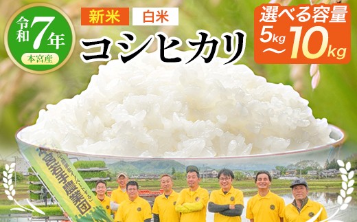 y{{szyߘa7NYzyeʂIׂIzYRVqJᔒā@5kg,10kgI@y07214-0392-0430z