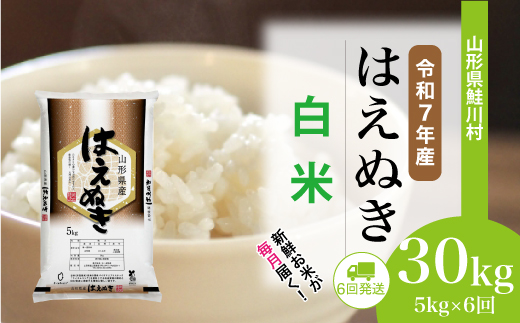 yR`쑺zߘa7NYā ͂ʂ yāz  30kg i5kg×1Ԋu6񂨓͂jzIׂ܂@R`쑺