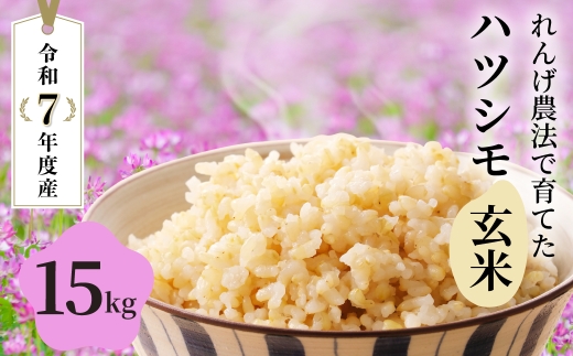 y򕌌_szā_11̂ꂽā^ߘa7NY V 15kg  Pꌴ  ncV 򕌔Žւ 񂰈炿̃ncV RVqJ̐y  V ͂    单