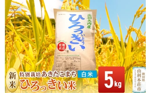 yHcR{szyāz HcY ܂ 5kg ߘa7NY ʍ͔| Ђ