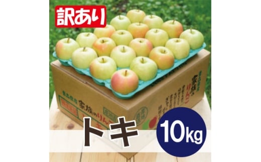 yXkzϓx13xȏ! gL 10kg 󂠂y1667896z