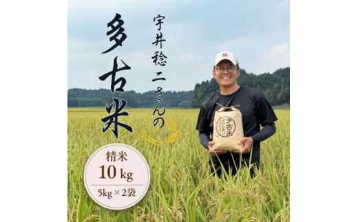 ytÒzÕăZNV F䖫񂳂̑ÕăRVqJ  10kg ߘa7NYy1683126z