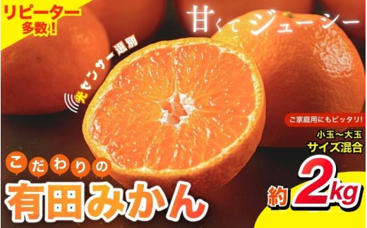 ya̎Rݒzy̗Lc݂zy2025N12z݂ Lc݂yƒpz 2kg TCY  _ZT[Iʁ^ y_ƒz L@엿100%y12z݂ ~J