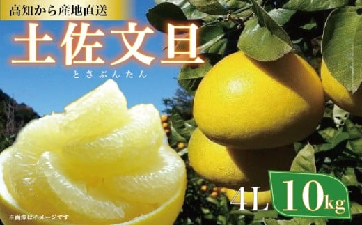 ymzyU 10kg 4LTCYi ƒp j Ac_ m1536n