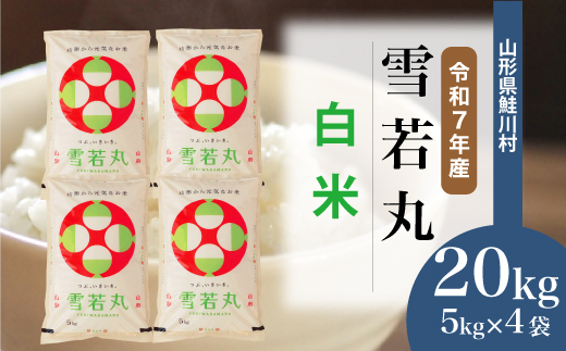 yR`쑺zߘa7NYā  yāz 20kg i5kg×4܁jzIׂ܂@R`쑺