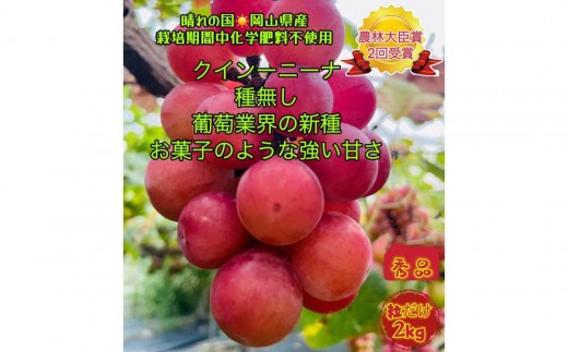 yRRszԂǂ 2026N NC[j[i Gi  2kg R Y ʕ t[c  2026N8{甭