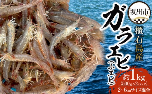 y쌧oszCΓYKGriGrj1kg@y500×2pbNz