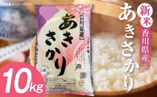 y쌧Oؒzyߘa7NYz쌧Y 10kgiܔzj|V  10kg   ͂  H  ɂ ٓ ނ  Y  c `` 