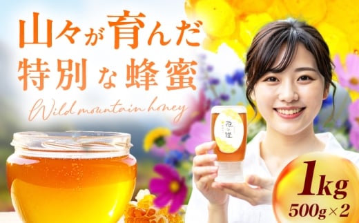 yL쒬zR݂ 2{i500g×2j@L쒬 / ЋBI̎q{ [AFAI047]