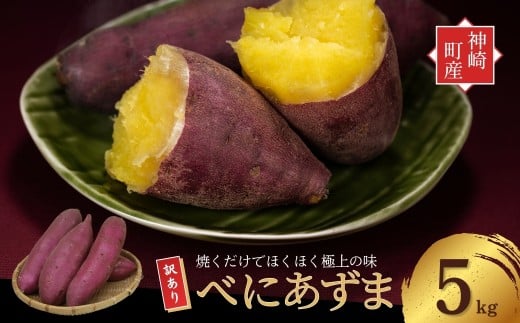 yt_蒬z_ĂVՂ܂I^_蒬Yׂɂ 󂠂 ܂ 5kgbzNzNÂ\^Cvi9E10E1`5ɏj [016-a001]