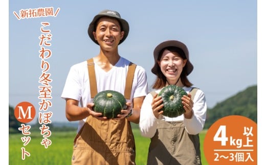 y錧szyʌzV_̂~ڂlZbg y ₳ J{` 1~ȓ 10000~ȓ قق Â  pvL Y Yn Ԍ Gߌ