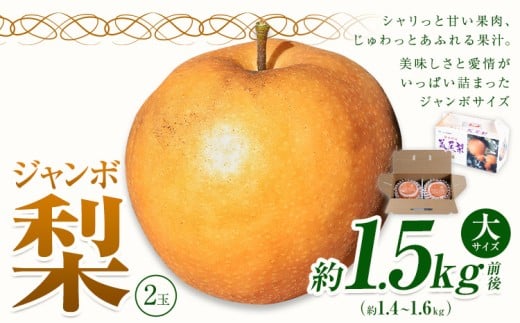 yF{rszy2026Ns\z  Ȃ p rW{iVj2ʓ 1.5kgO H { F{ rsY ʎs2026N10{-10{oׁtt[c ʕ Mtg 