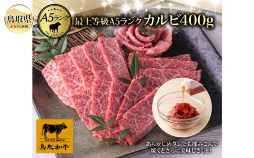 y挧zC25-043 iΕpjŏ㓙A5N aJr(400gji2`3lOj 挧  a uh a  Y