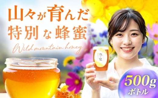 yL쒬zR݂ 1{i500gj@L쒬 / ЋBI̎q{ [AFAI045]