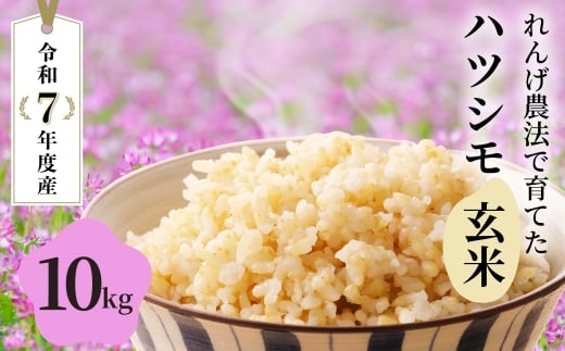 y򕌌_szā_11̂ꂽā^ߘa7NY V 10kg  Pꌴ  ncV 򕌔Žւ 񂰈炿̃ncV RVqJ̐y  V ͂    单