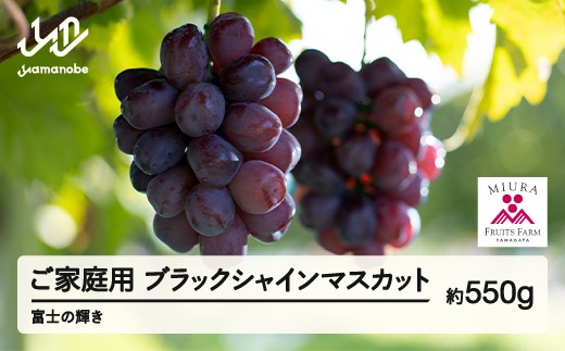 yR`RӒzss\t2026N R`RӒY ƒp@ubNVC}XJbgi550gjxm̋P Ԃǂ 1[ ߘa8NY 2026NY ʕ t[c 2026N9{珇 bg-bufkk